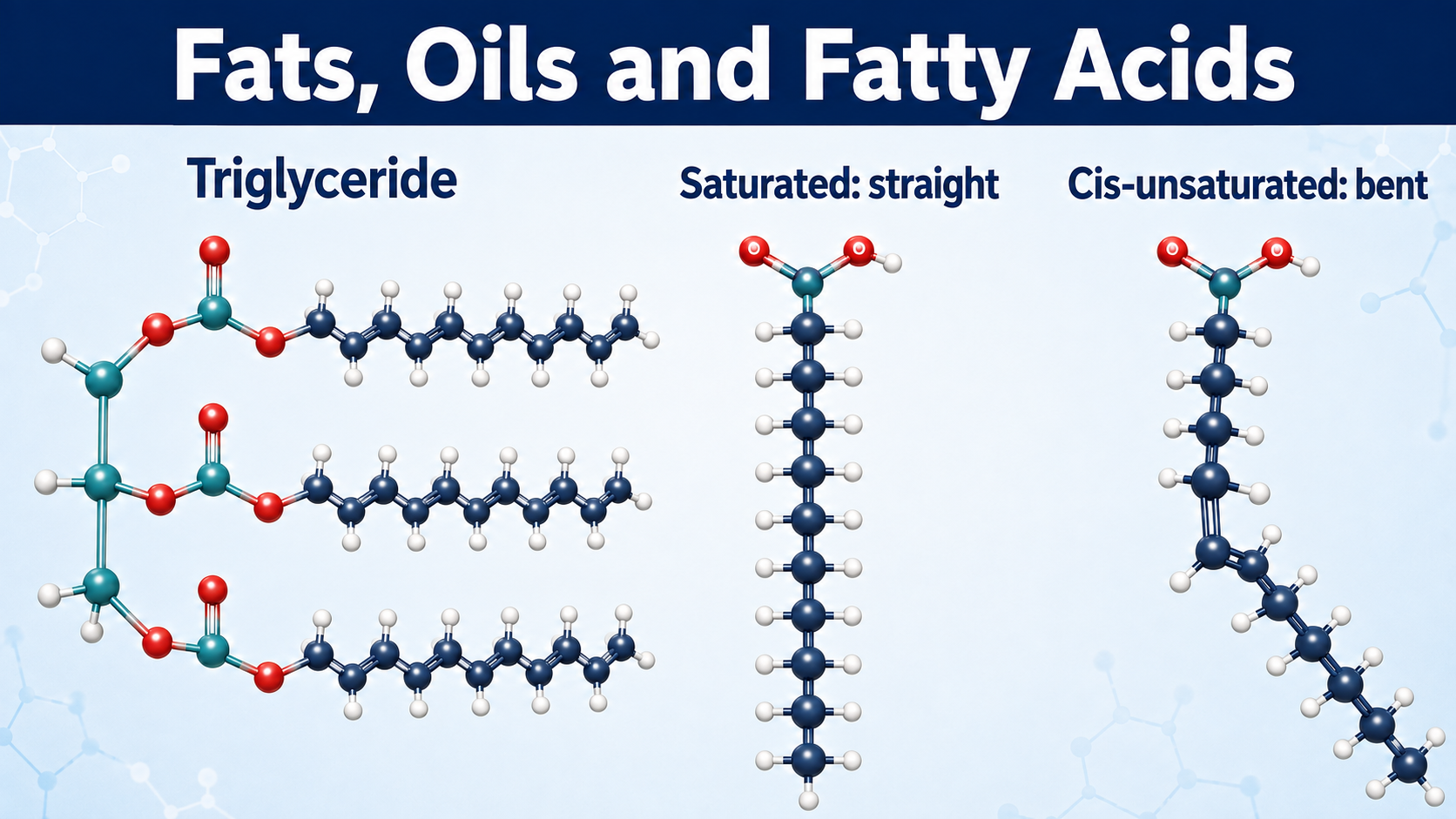 Fats oils and fatty acids classification and triglyceride structure for BP301T