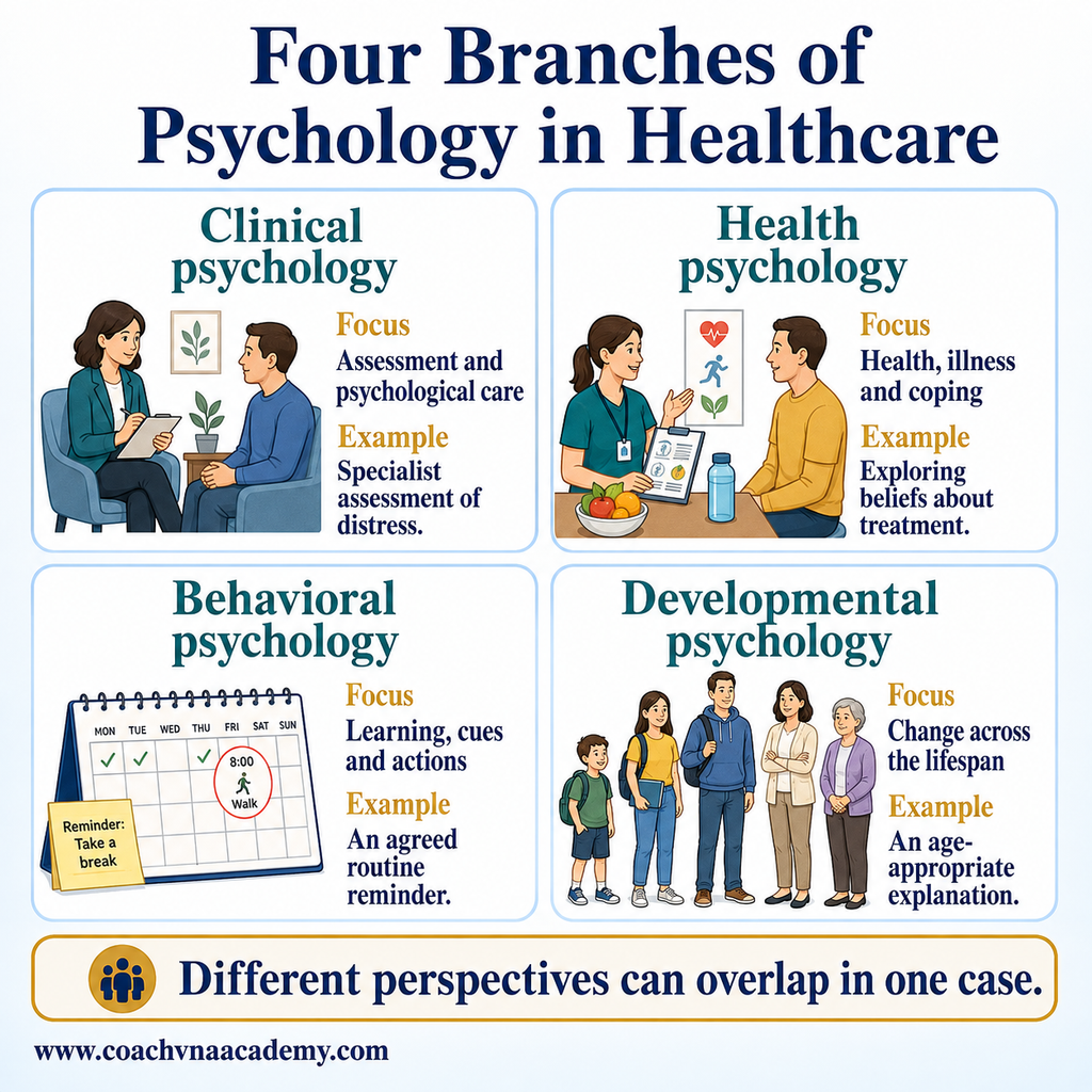 Comparison of clinical, health, behavioral and developmental psychology, each with a focus and one healthcare example.
