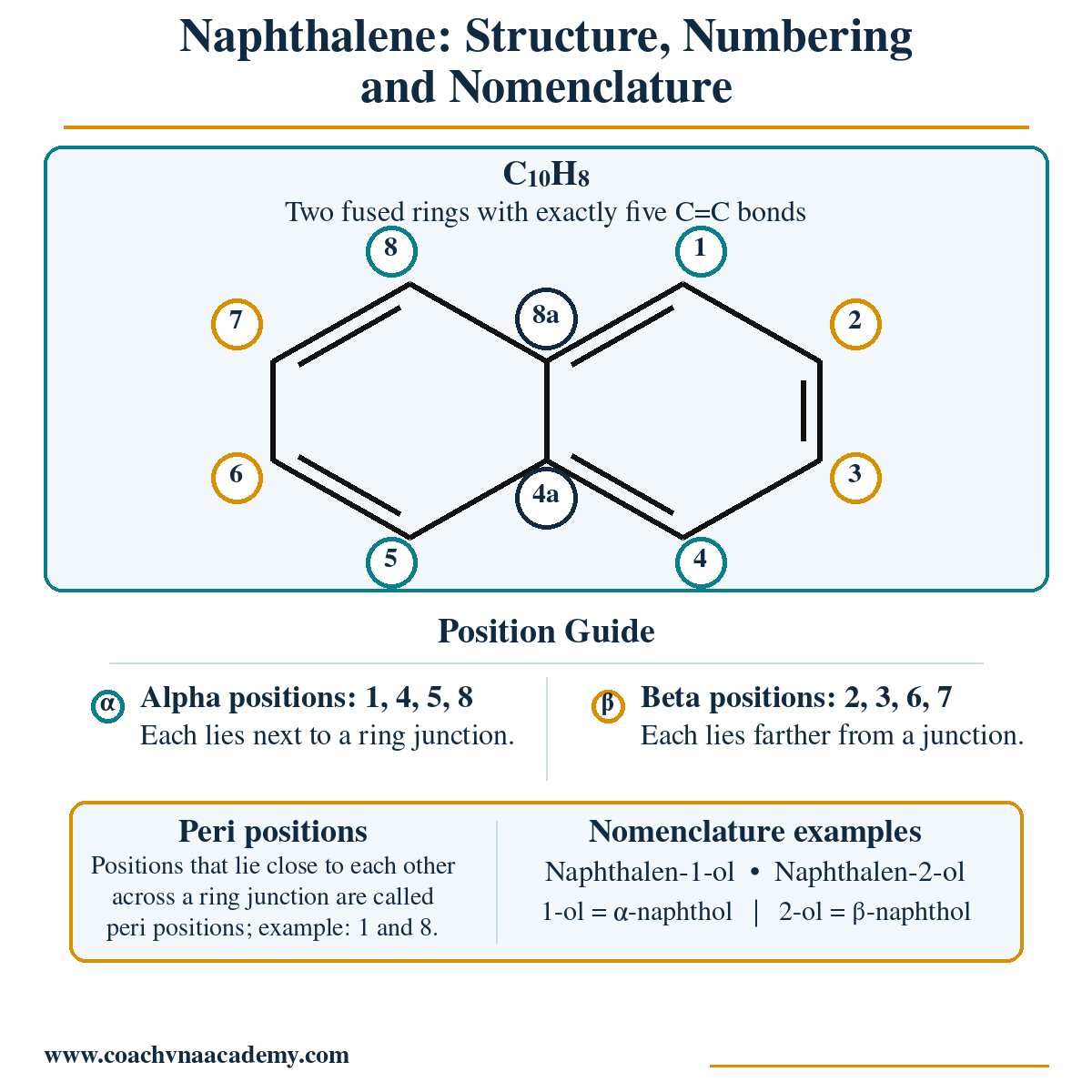 Correct naphthalene structure showing numbering, alpha and beta positions, and junction carbons.