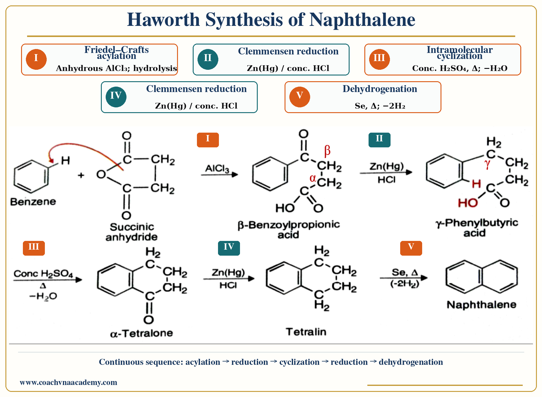 Haworth Synthesis in an exam-oriented chemistry diagram.