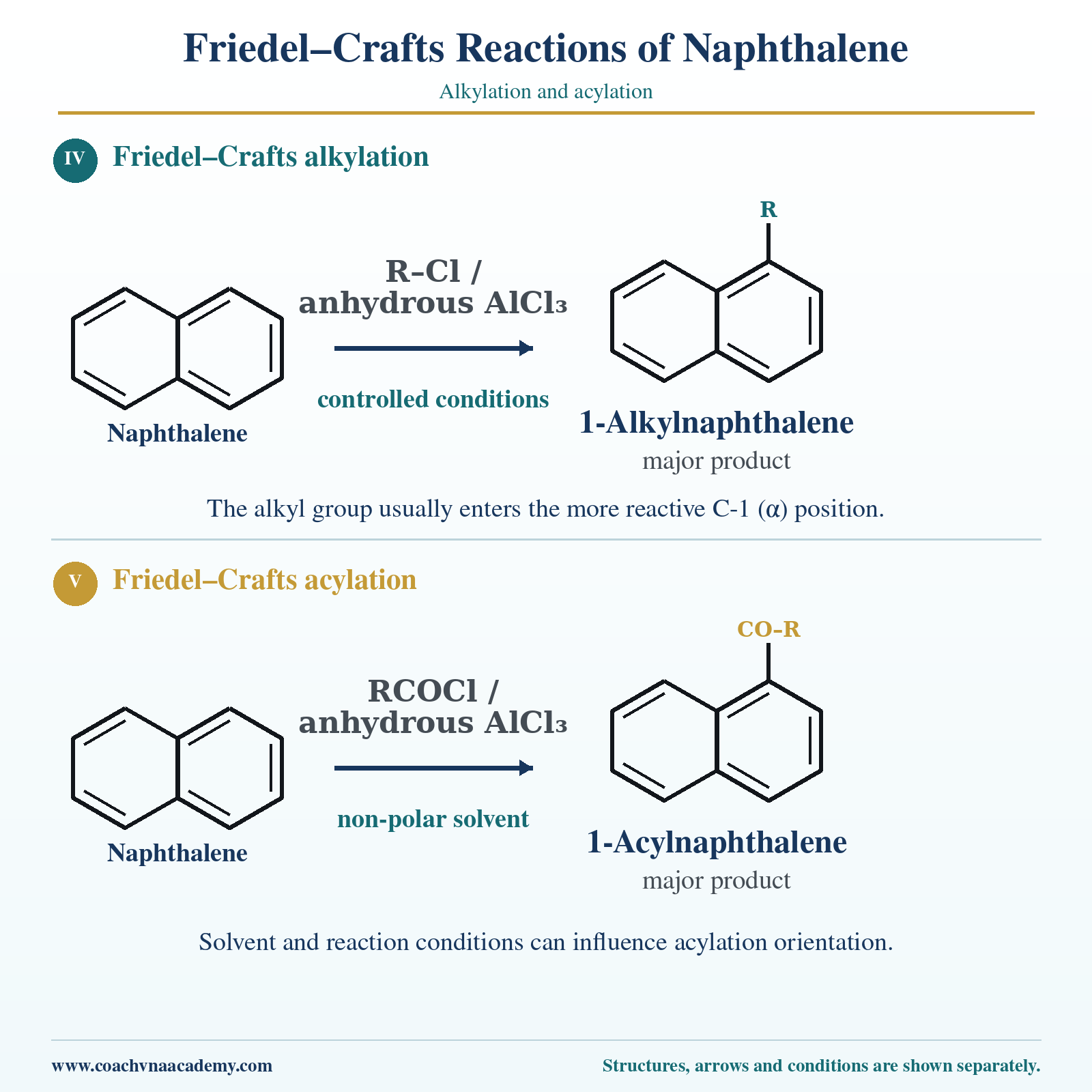 Major Electrophilic Substitutions: Friedel–Crafts Alkylation and Acylation in an exam-oriented chemistry diagram.