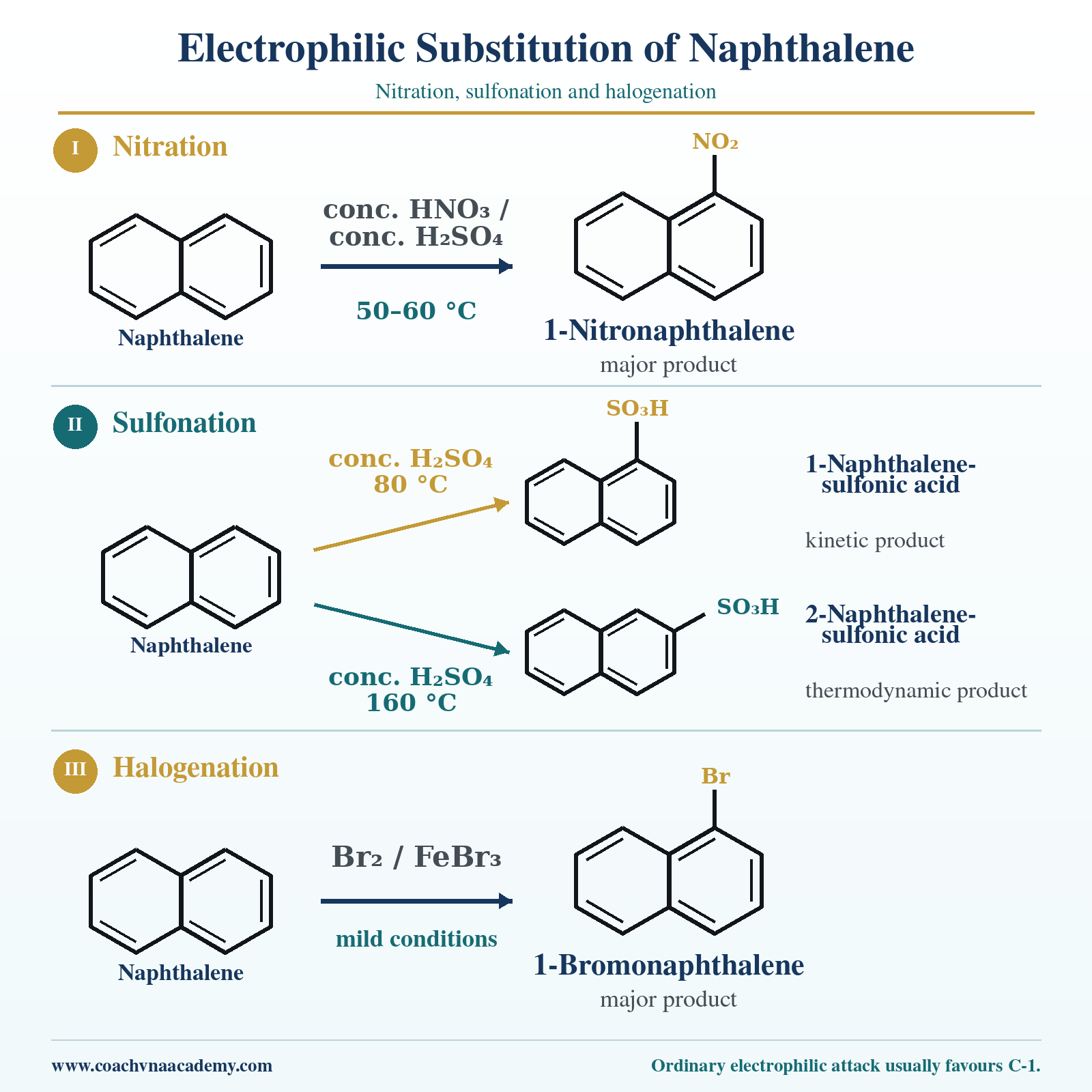 Nitration, Sulfonation: Kinetic and Thermodynamic Control and Halogenation in an exam-oriented chemistry diagram.