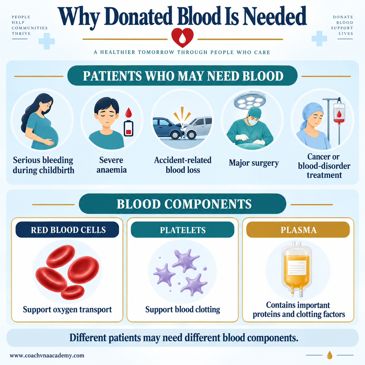Infographic explaining patient needs for donated blood and the roles of red blood cells, platelets and plasma.