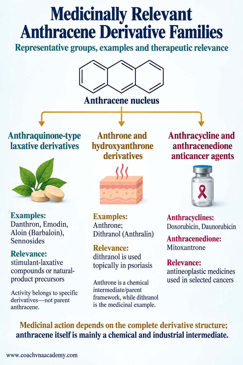 Medicinal relevance of dithranol, sennosides, anthracyclines, mitoxantrone and anthraquinone-related compounds.