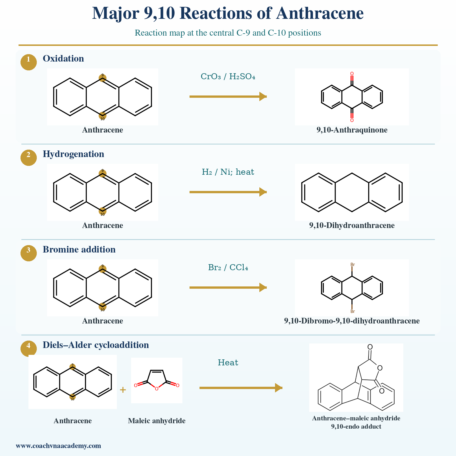 Reaction map of anthracene oxidation, hydrogenation, bromine addition and Diels-Alder cycloaddition at C-9 and C-10.